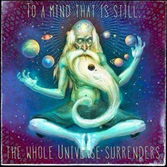 Cowabunga! - Picture 2 of 2